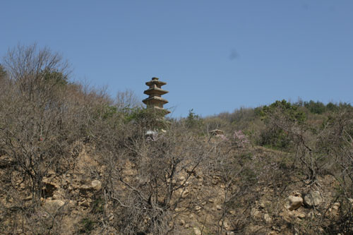 산비탈 위로 장항리 절터가 보인다 